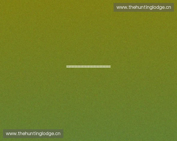 全场鏖战攻防亮点尽显赛季关键对决深度总结与未来走势前瞻分析篇