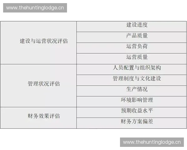 基于专项指令优化方案的实施路径与效果评估分析