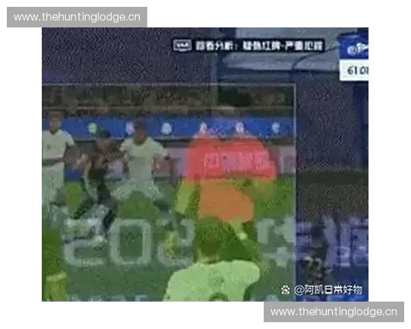 红牌事件背后的裁判判罚争议与赛场纪律深度解析